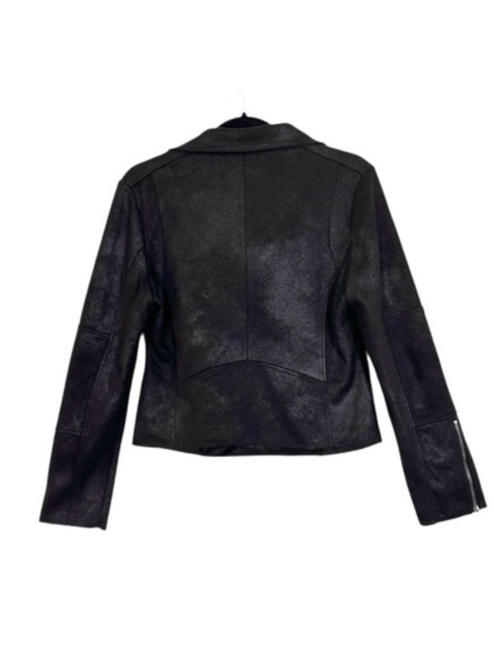 Evereve Marren Moto Jacket - Picture 8 of 9